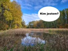 KIM JESTEM? „ZAGADKOWE OPOWIEŚCI Z MCHU I PAPROCI”