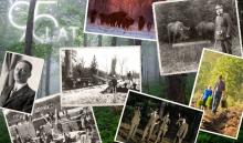 95 lat Lasów Państwowych