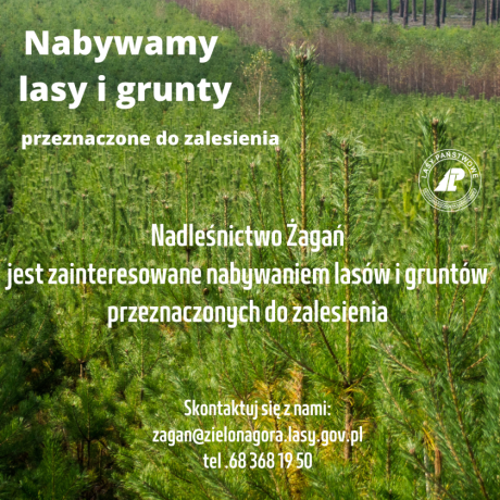 Nabywamy lasy i grunty